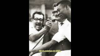 O Trapichão De Maceió, Estádio Rei Pelé