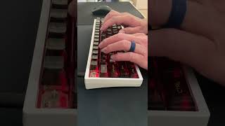Gateron Baby Raccoon | KBD67 Lite | PC Keycaps | Typing Test Gateron Baby Raccoon | KBD67 Lite | PC Keycaps | Typing Test