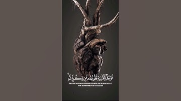 القارئ رعد الكردي سورة الزمر