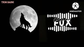 Wolf Howling Fox 🦊 Voice Bgm Ringtone || #bgm_ringtone || #new_bgm_ringtone ||#viral /#reels