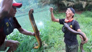 HAMPIR KABUR DIKIRA ULAR TERNYATA BELUT MONSTER