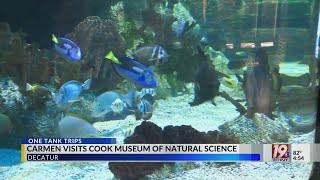 One Tank Trips: Cook Museum Of Natural Science | May 1, 2025 | News 19 at 4:30 p.m.