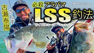 デカバス連打「必殺アラバマLSS釣法」【古瀬泰陽さんずの琵琶湖のバス釣り実釣公開】