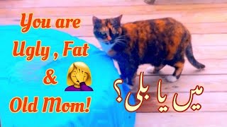 Rainy Day Vlog | Fat Cat and Yummy Pakoras |