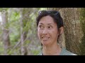 Why are they releasing millions of mosquitoes in Hawaii?