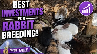The best investments when raising rabbits!