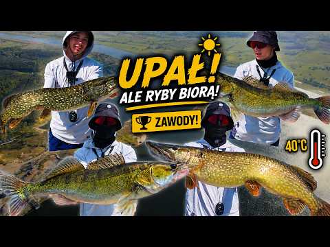 WE CAUGHT HUGE FISH IN THE HEAT! FISHING COMPETITION AT BIELINEK | PIKE ZANDER PERCH 2026