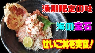 せいこ蟹の丼ぶりは絶品！11月から12月までが限定漁期のせいこがにの丼ぶりを食べてきました！