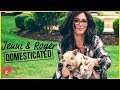 FOSTERING A PIG WITH THE MATHEWS | Jenni & Roger: Domesticated | Awestruck