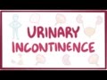 Urinary incontinence - causes, symptoms, diagnosis, treatment, pathology