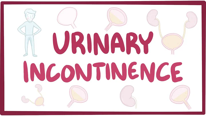 Urinary incontinence - causes, symptoms, diagnosis, treatment, pathology - DayDayNews