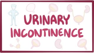 Urinary incontinence - causes, symptoms, diagnosis, treatment, pathology
