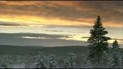 Forestry in Canada: Discover Sustainable Forest Ma...