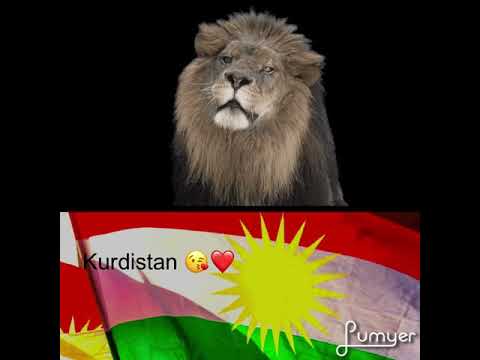 Libanesische Kurden Youtube