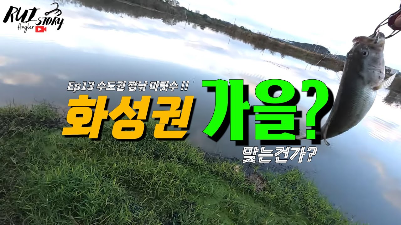 Ep13 수도권 짬낚 마릿수!! (Feat. 가을이 맞는건가?)