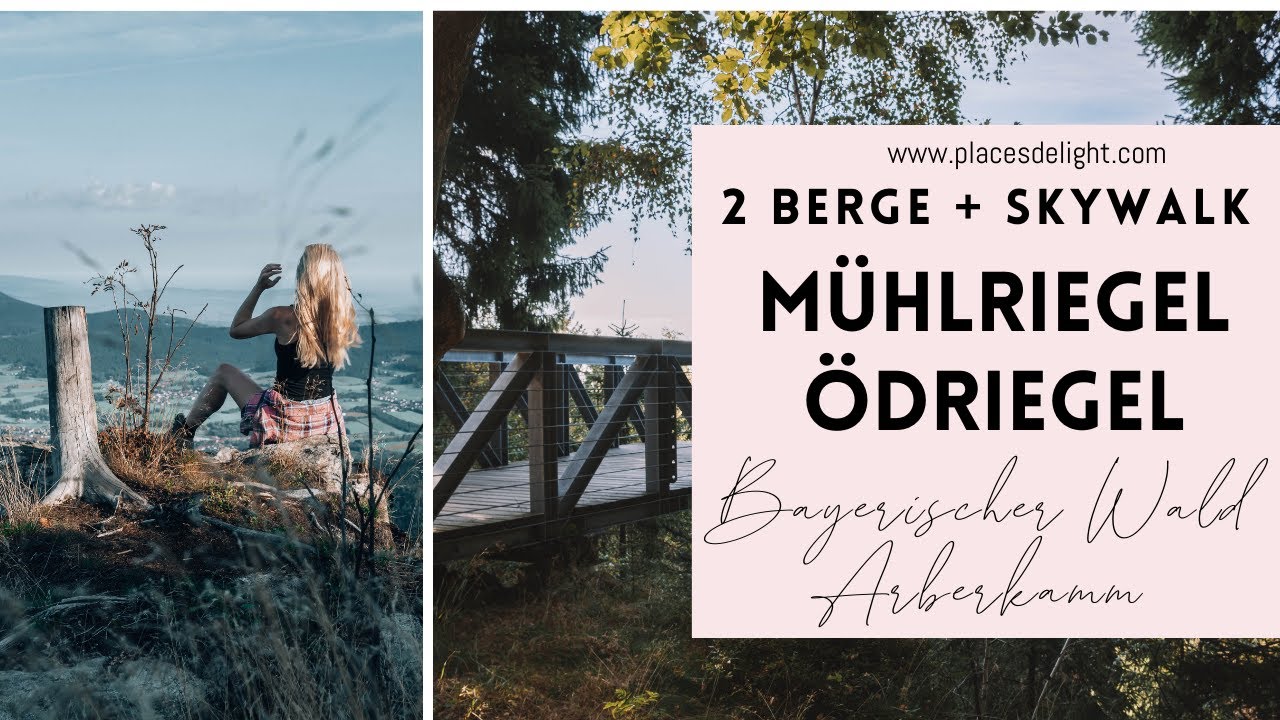 Wandern Bayerischer Wald am Arberkamm mit Laufsteg: Mühlriegel, Ödriegel und Skywalk Arrach