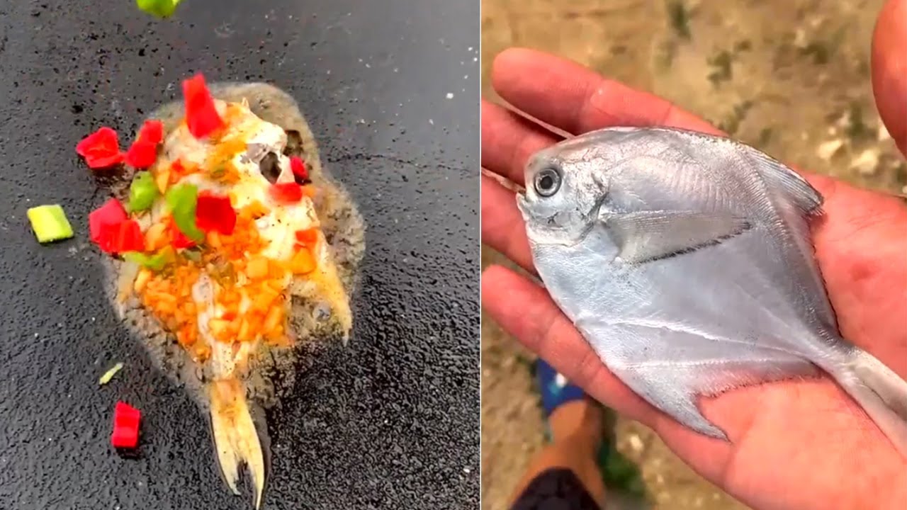 When You Are Poor But Still Want To Eat Seafood 2020 YouTube when-you-are-poor-but-still-want-to-eat-seafood-2020-youtube