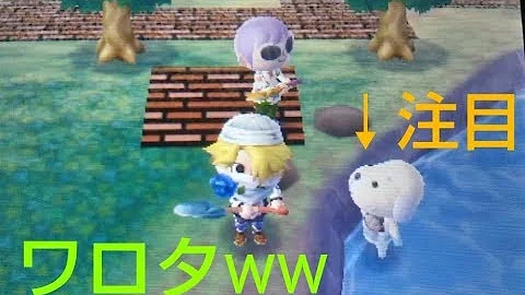 どうぶつの森住人を川に落とす方法 どうぶつの森住人を川に落とす方法