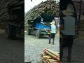 Smart technique to move bamboo piles efficiently #shorts