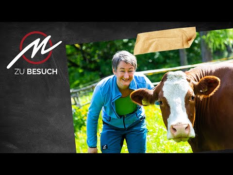 Familie Pierer | Fleischwerkstatt zu Besuch bei BIO Styria Beef