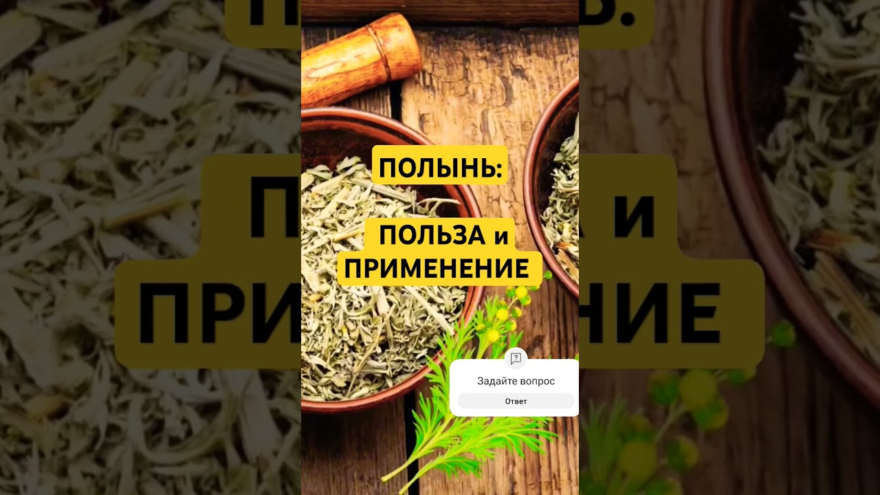 ПОЛЫНЬ: ПОЛЬЗА И ЛЕЧЕБНЫЕ РЕЦЕПТЫ #полынь #полыньпольза #рецепты #глисты #чисткапечени #здоровье #пп