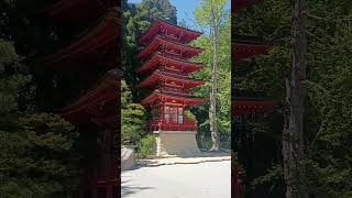 Day 3.3 of Golden Gate Park - Travel Every Path #sanfrancisco #goldengatepark