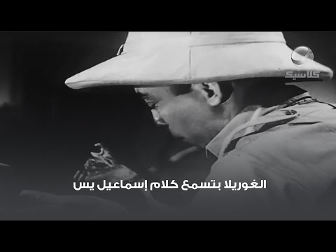 الغوريلا بتسمع كلام إسماعيل يس