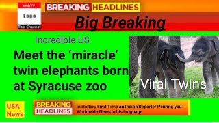 Big BREAKING ||Adorable twin elephant babies born| elephants|animal videos|animals for kids