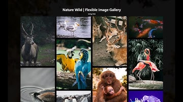 Responsive Images Gallery Using Grid CSS