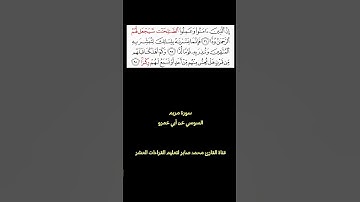 ما تيسر من سورة مريم برواية السوسي عن أبي عمرو ٥ #القارئ_محمد_صابر