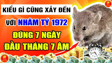 ĐIỀU NÀY Kiểu Gì Cũng XẢY RA; Nhâm Tý 1972, Đúng 7 NGÀY Đầu Tháng 7 Âm Lịch CẦN PHẢI TRÁNH