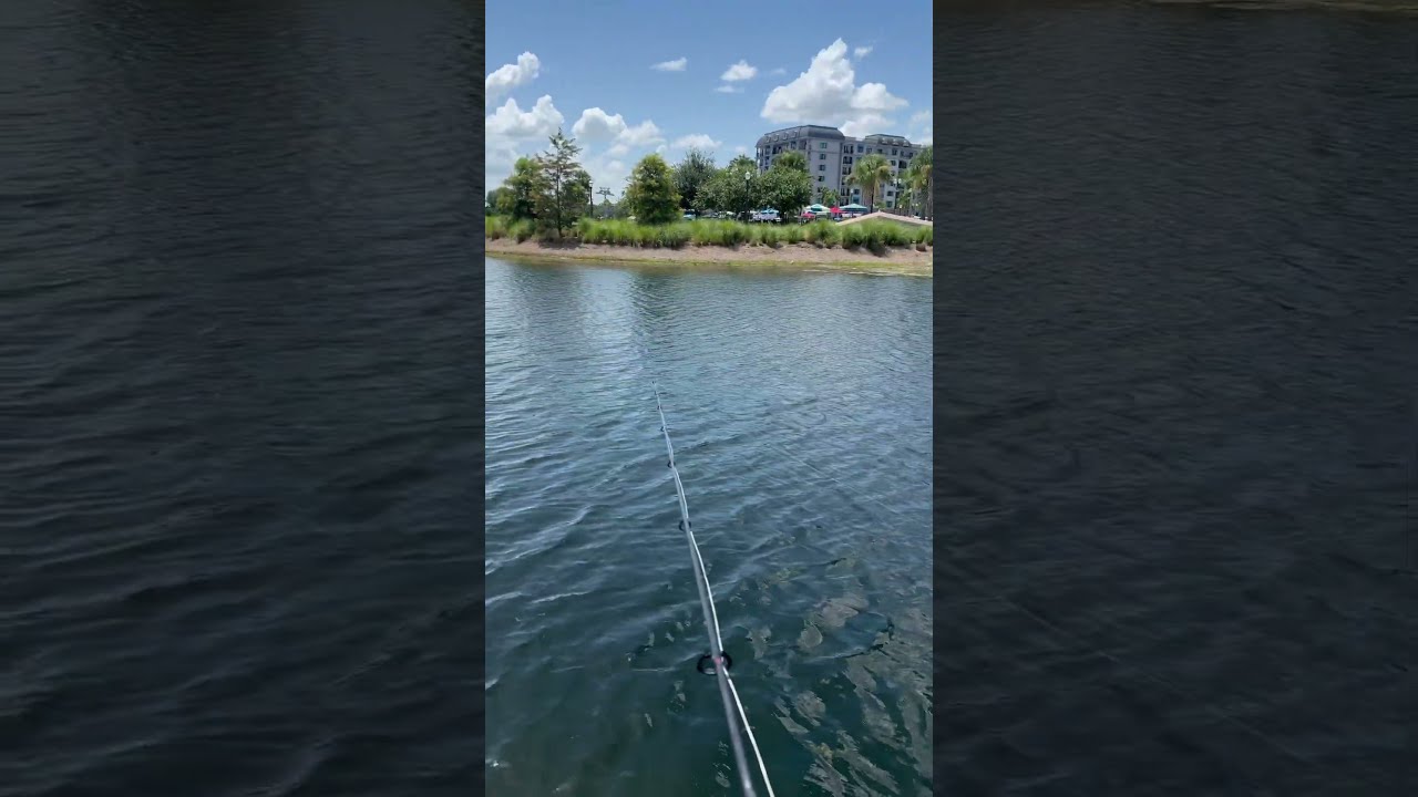 Perfect Day Fishing At Disneys Riviera Resort Walt Disneyworld Florida Orlando July 2025
