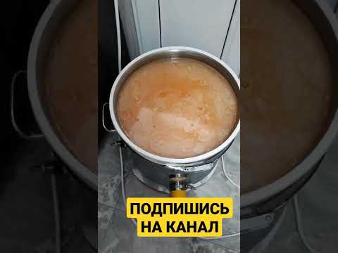 Первый перегон сахарной браги