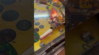 IMG 3275