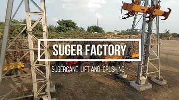 Renuka Sugar Factory Kokatanur | Unloading Sugarcane Tractor trolley