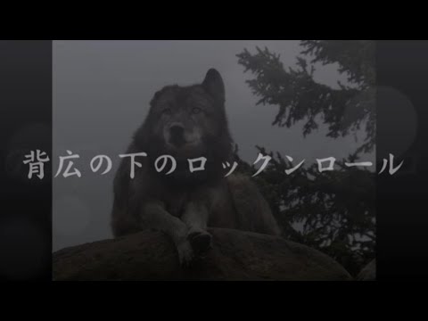 中島みゆき　背広の下のロックンロール　(covered by K)