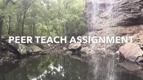 PEER teach assignment. Comm 1010