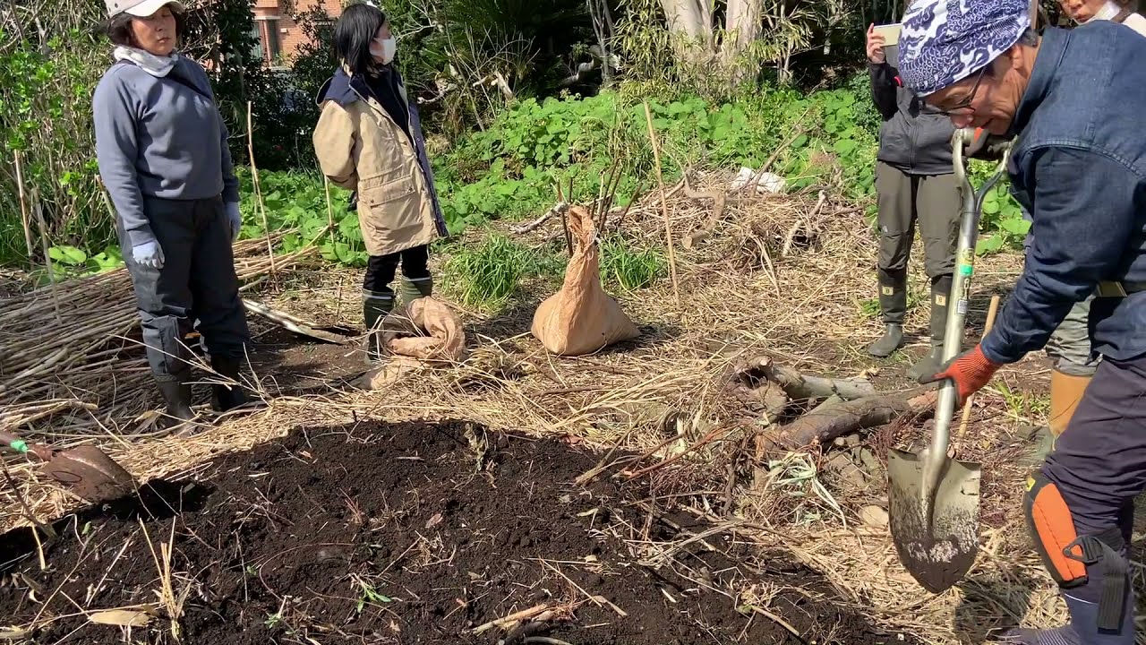 #3 ④マウンド植栽のやり方【みうら土地再生】