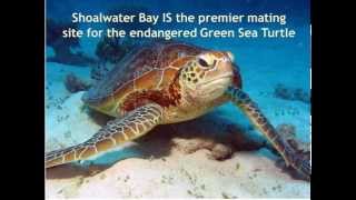 Save Shoalwater Bay Peace Convergence
