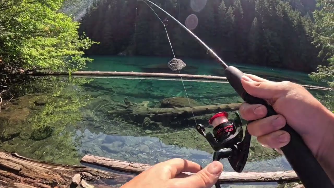 Sight Fishing for Mountain Trout in a Crystal Clear Lake