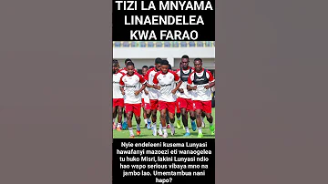 MNYAMA SIMBA HACHEKI NA WOWOTE 