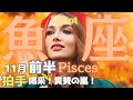 【魚座】2024年11月前半の運勢㊗️拍手喝采👏賞賛の嵐✨場外ホームラン級の成功がやってくる⁉️タロット占い