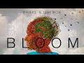 Phaxe  querox  bloom official audio