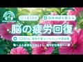 【528Hz・脳疲労回復】ソルフェジオ周波数を用いた自律神経を整える音楽。睡眠導入、ストレス緩和、疲労回復　＃脳の疲れを取る音楽＃自律神経を整える音楽　＃ソルフェジオ周波数