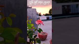 srotoshini #encore #weather