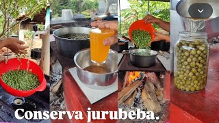 Como faço conserva de jurubeba.