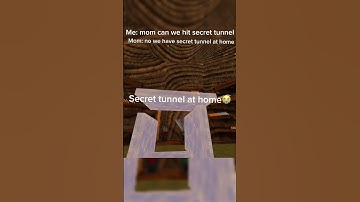 Secret tunnel at home #secrettunnel #gorillatagfun #gtag #gorillatag #vr #oculus #edit
