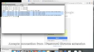 Websocket attack against 1Password app