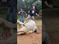 bhayankar Kumar 😱dangerous animal 😱#shorts #youtubeshortss #love #viral video
