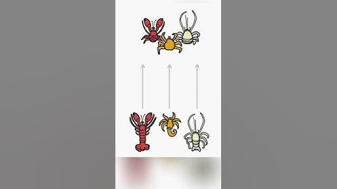 Crabs Is Final Form 😨🦀